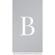 Vertical Serif Large Initial Double Sided Shimmer Contact Cards Image 2 of 12